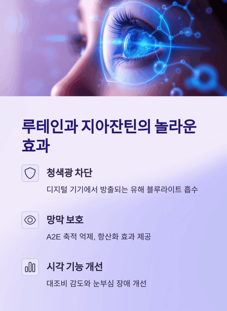 아이 눈 건강을 위한 완벽한 조합